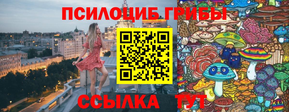 купить  сайты  Псилоцибиновые грибы мицелий  Вход с VPN  Котовск 